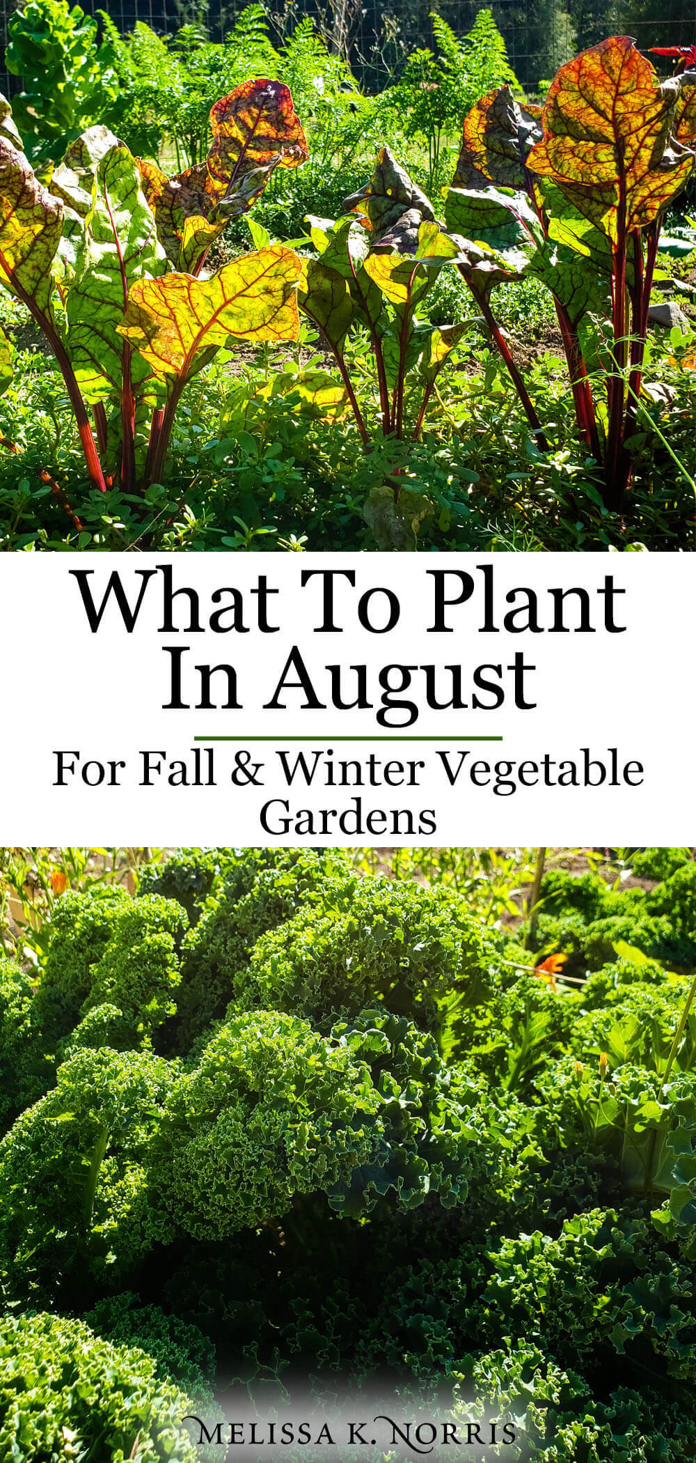 What to Plant Now for Fall Garden Crops Melissa K. Norris