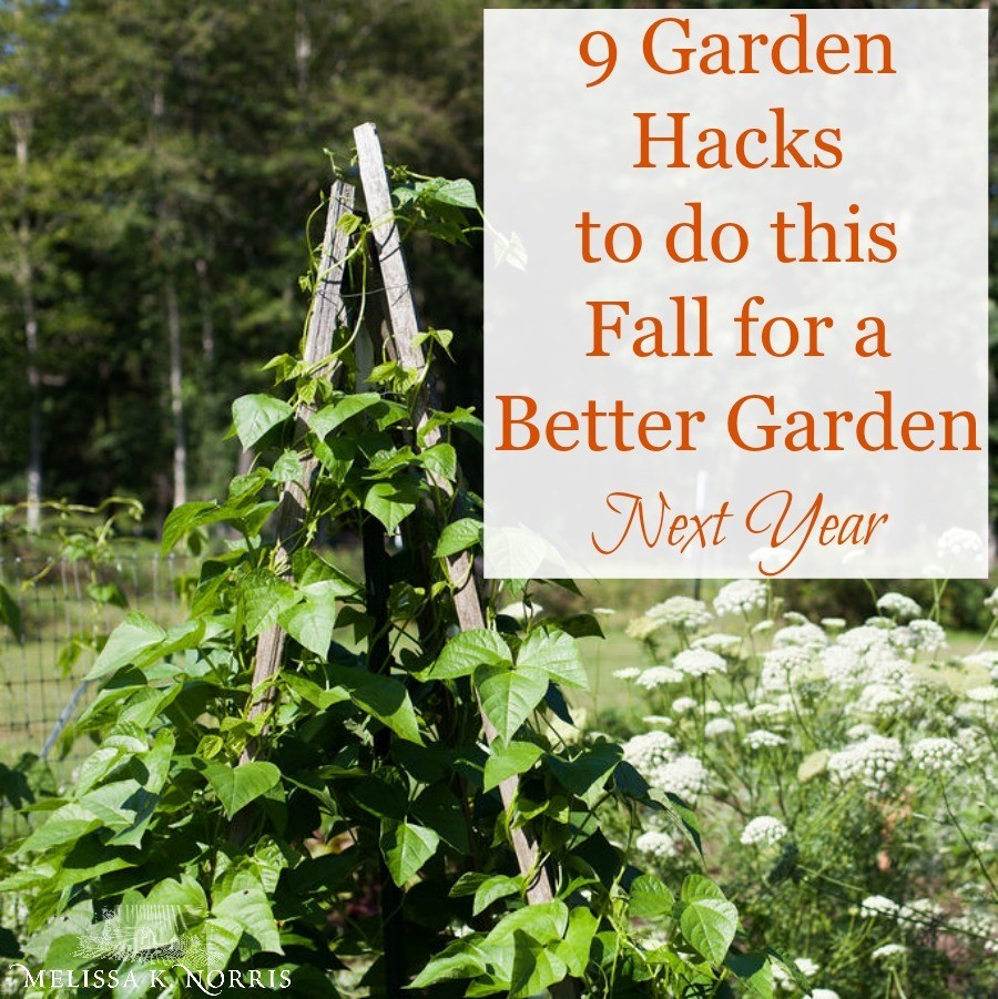 Using Vegetable Grow Bags in the Garden - Melissa K. Norris