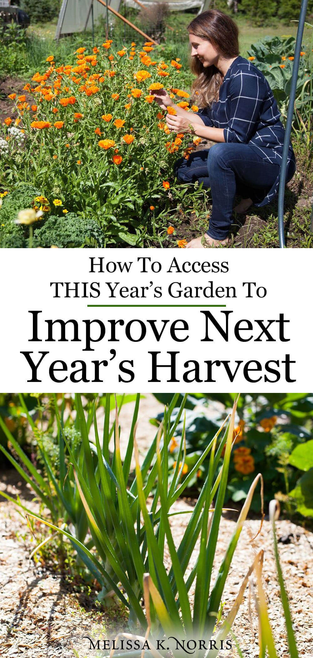 Using Vegetable Grow Bags in the Garden - Melissa K. Norris