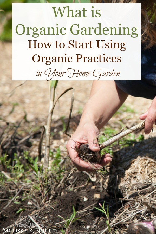 What does organic gardening really mean and how to incorporate these practices into a home garden setting. 
