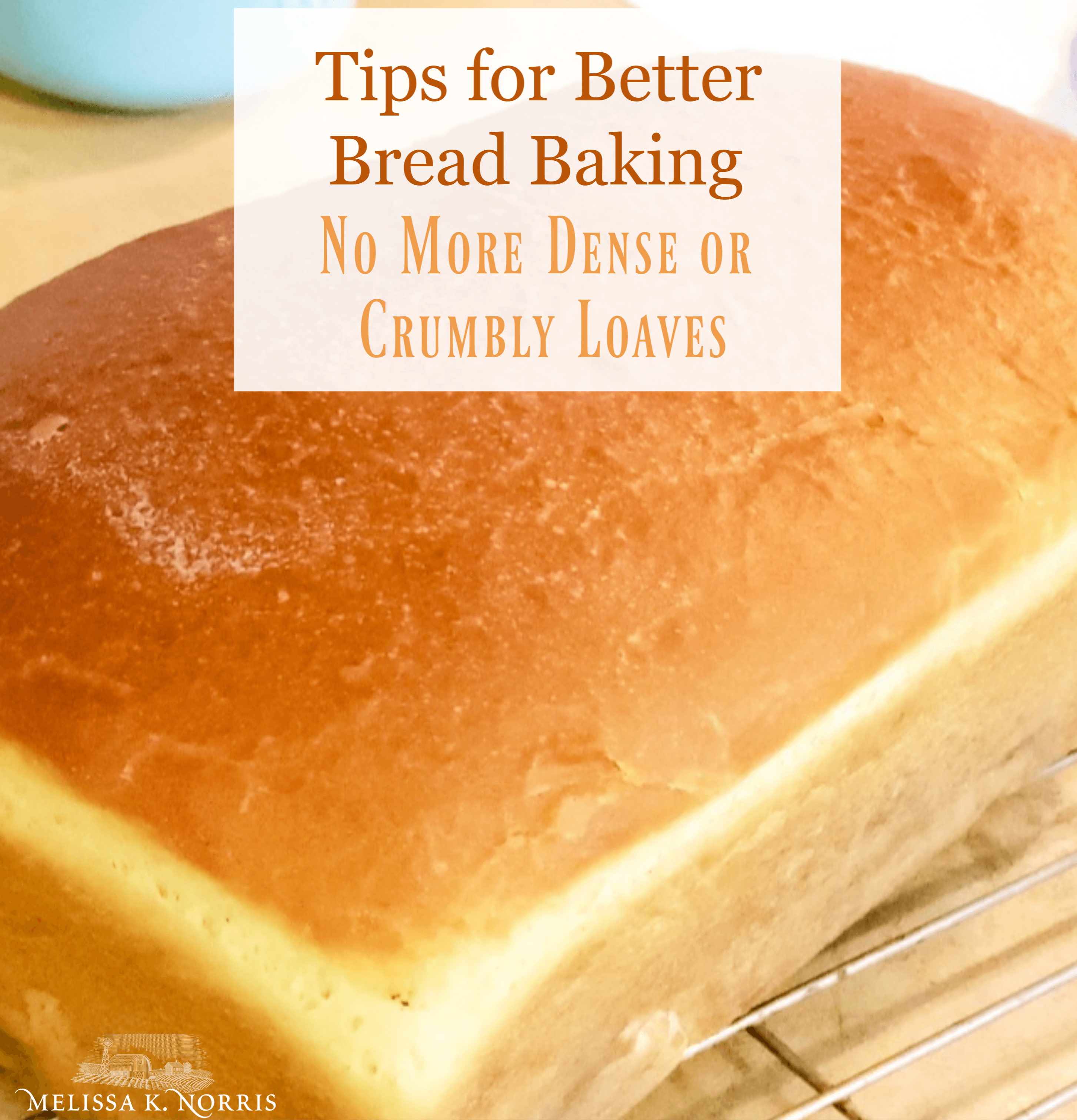 tips for better bread baking no more dense or crumbly loaves loaf of homemade sandwich bread