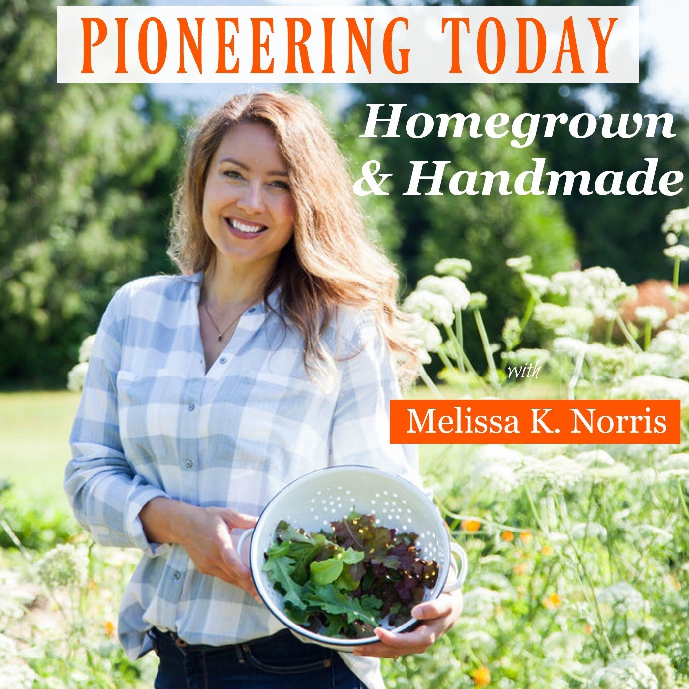 Pioneering Today Podcast with Melissa K. Norris
