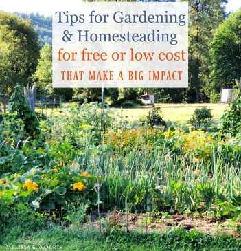 Cheap Garden Ideas for Your Homestead that Make a Big Impact - Melissa ...