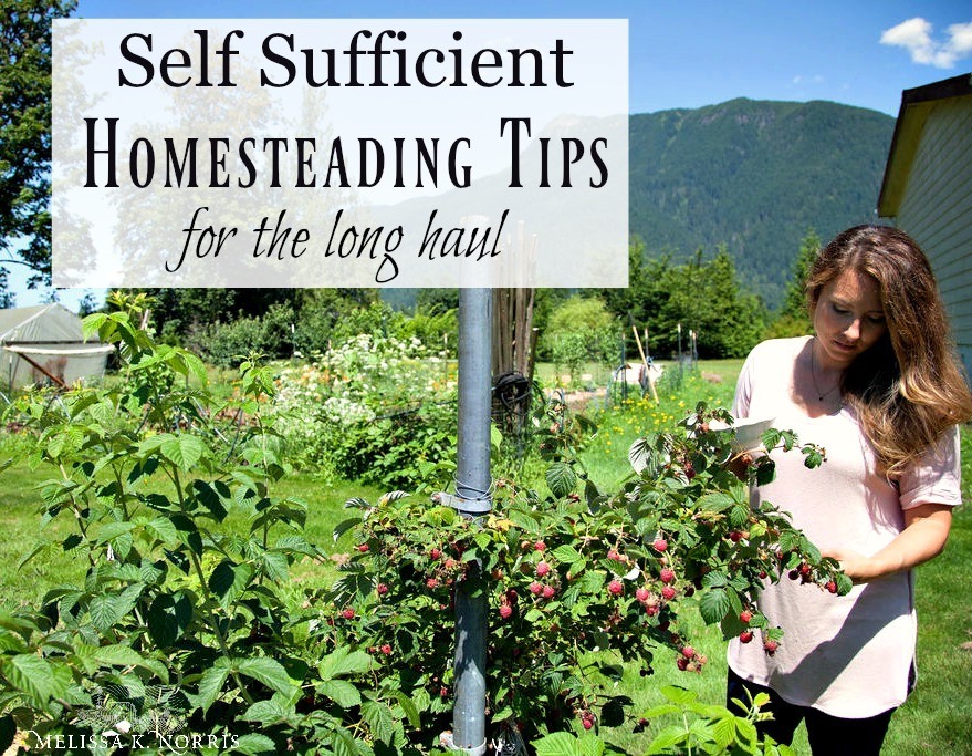 Homestead & Self-Sufficient Supplies