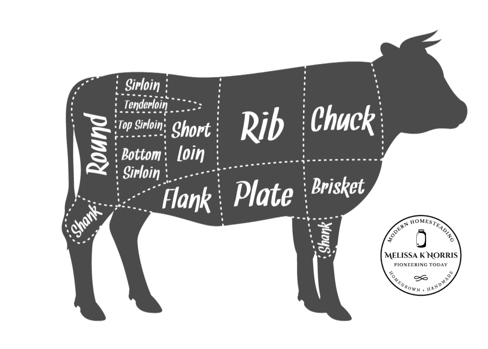 Cuts of Beef: What Cuts Do You Get With a Quarter or Half Beef?