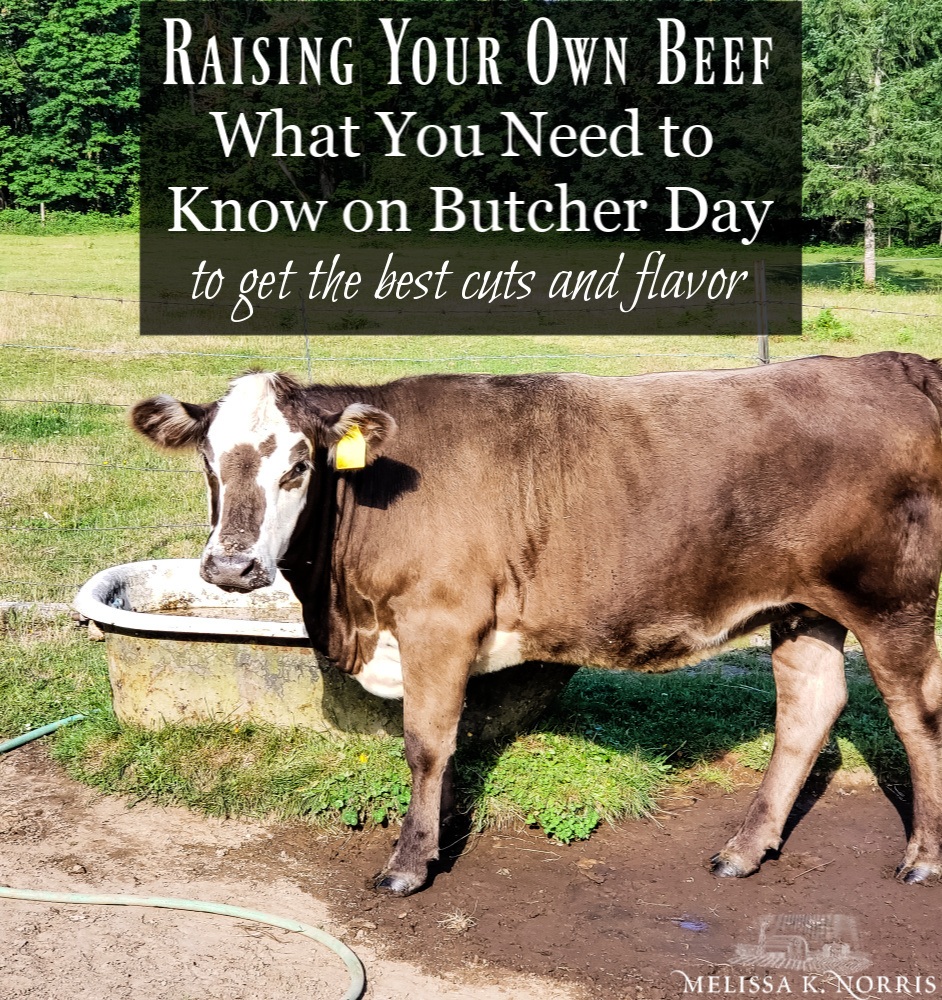 What Makes Grass-Fed Beef Different, and Are You Buying the Real Thing?