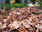 SHeetcompostingH