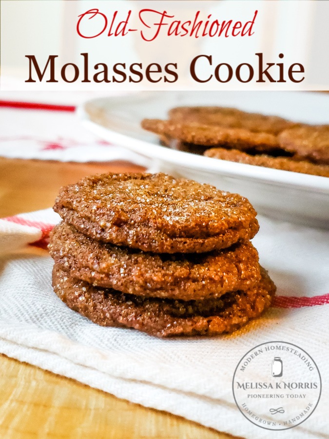 old-fashioned molasses cookie on wooden table