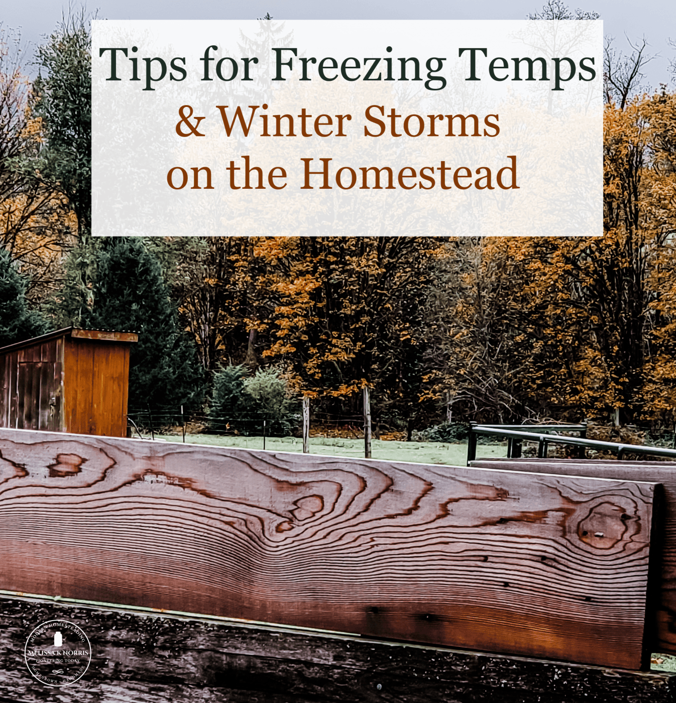 Preparing for Winter on the Homestead- Dehydrating Food