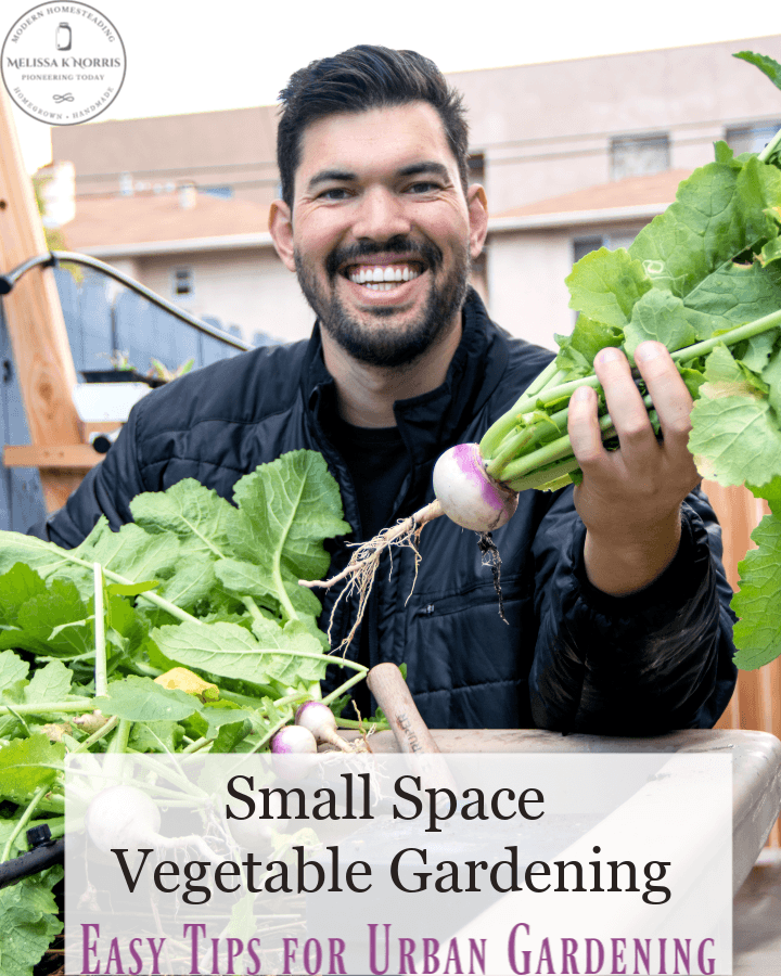 Using Vegetable Grow Bags in the Garden - Melissa K. Norris