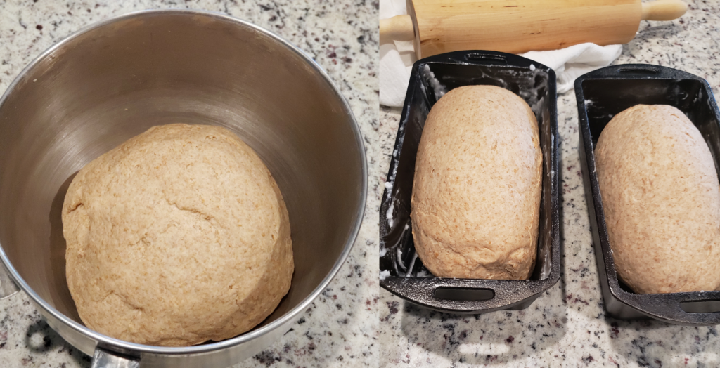 Honey Wheat Sandwich Bread — My Journey Back to Basics