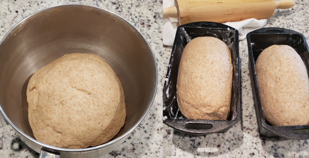 HONEY WHEAT SANDWICH BREAD — THE REGULAR CHEF