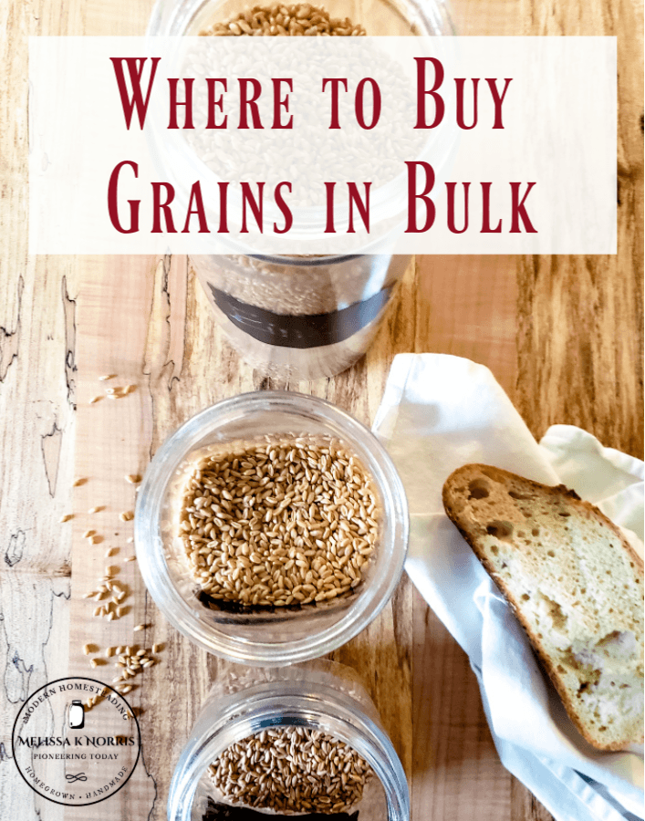 Where To Buy Grains In Bulk My Favorite Sources