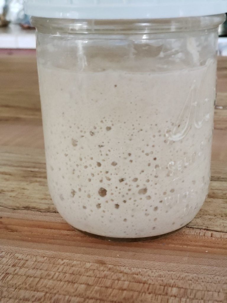 sourdough starter in Maosn jar on counter