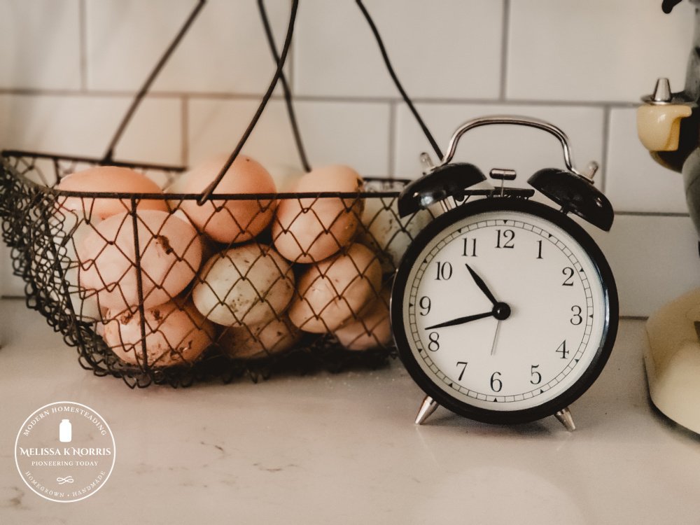 farm fresh eggs in a basket on counter