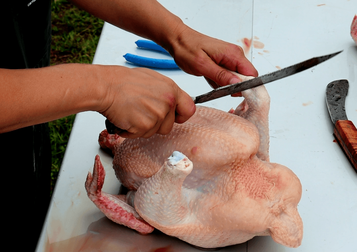 removing feet from butchered chicken on table