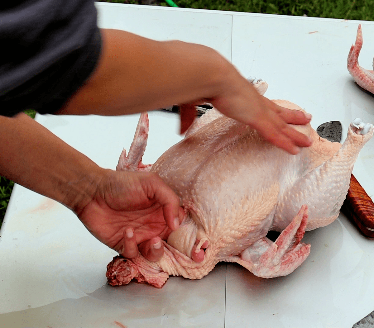 Best Tools for Processing Your Own Meat