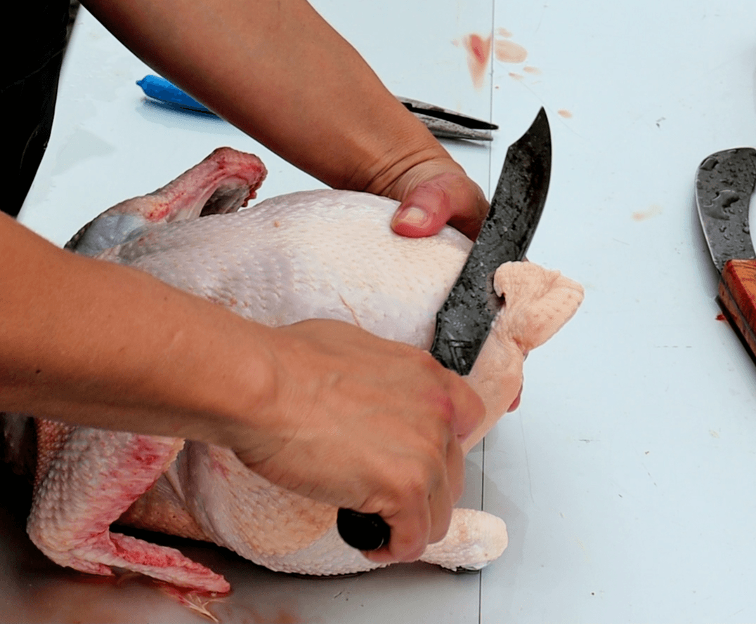 removing preening oil gland on chicken