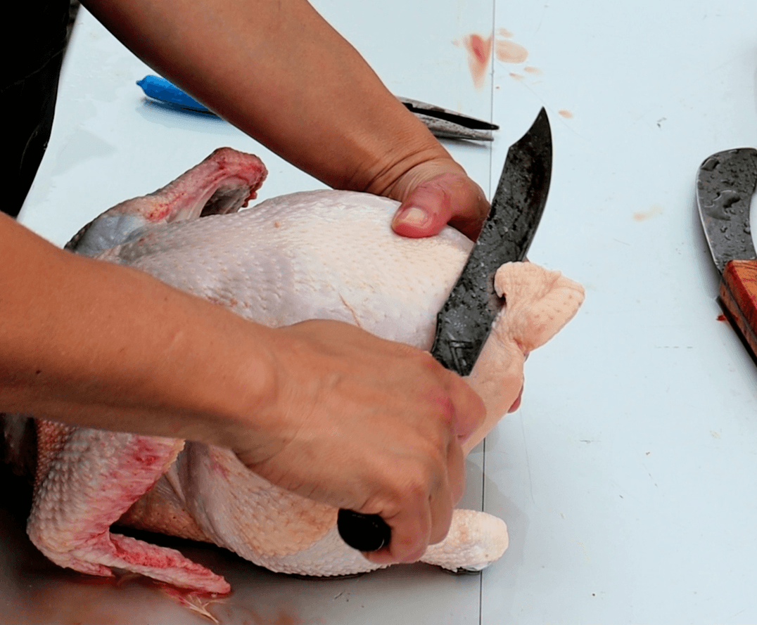 How To Butcher A Chicken At Home