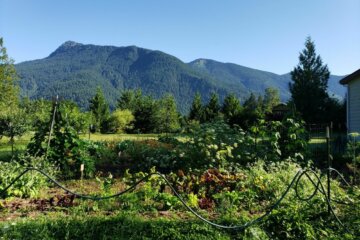 Picture of a vegetable garden with mountains and a blue sky in the background.