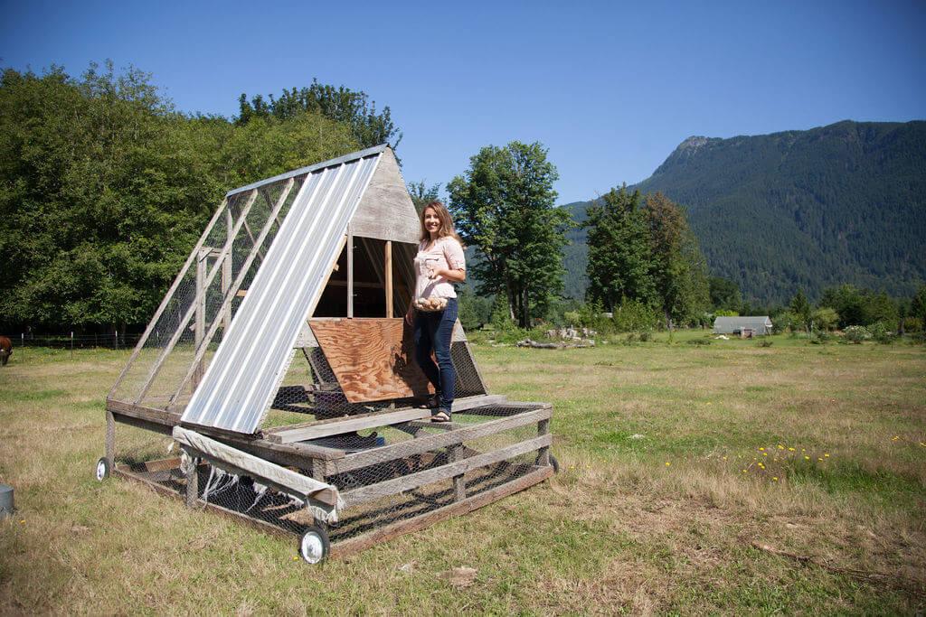 A woman standing on an a-frame chicken coop with a basket of farm fresh eggs.