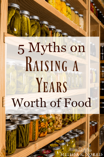 Photo of a food pantry with text overlay, "5 Myths on Raising A Years Worth of Food".