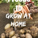 Image of potatoes, carrots and other veggies fresh out of the garden. Text overlay says, "7 Foods to Grow at Home".