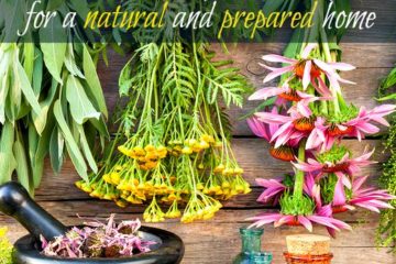 Image of a mortar and pestle with hanging flowers and herbs to dry. Text overlay says, "7 Ways to Use Medicinal Herbs for a Natural and Prepared Home."