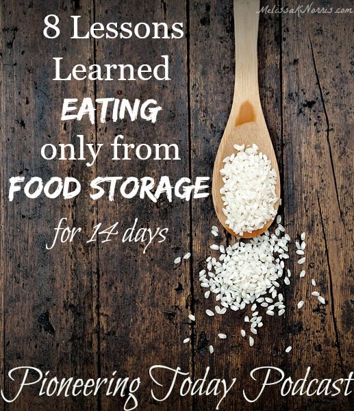 Image of a wooden spoon full of rice. Text overlay says, "8 Lessons Learned Eating Only From Food Storage for 14 Days".