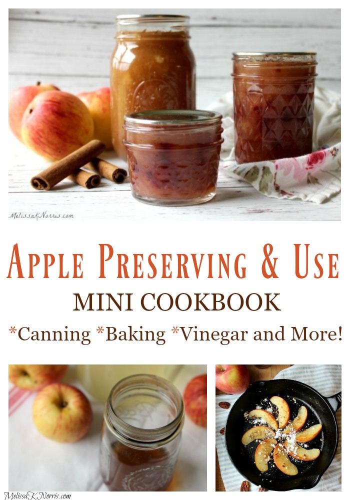 Ways to Preserve Apples