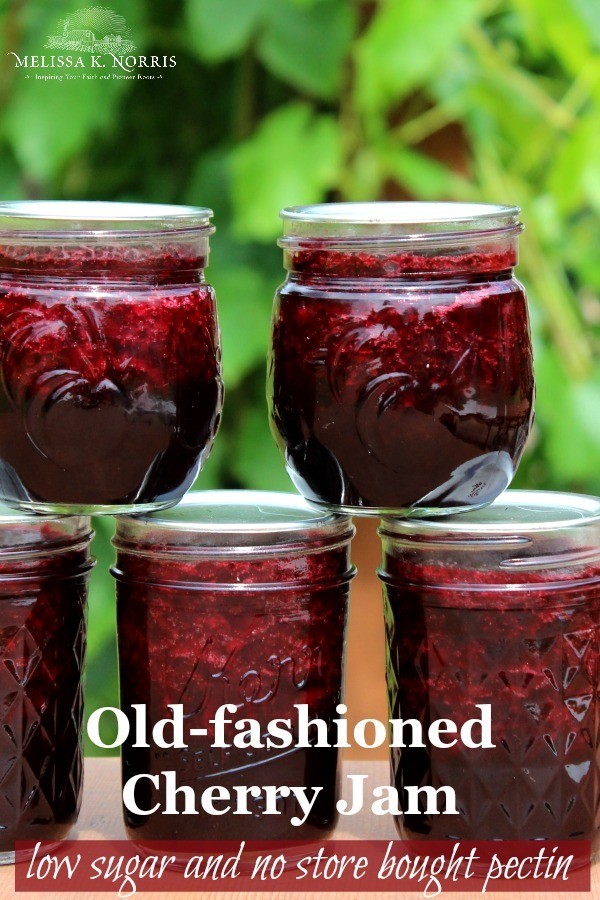 Featured image of post How to Make Cherry Preserves No Sugar