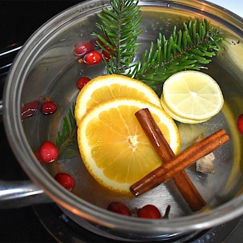 Holiday Stovetop Potpourri - Handmade Farmhouse