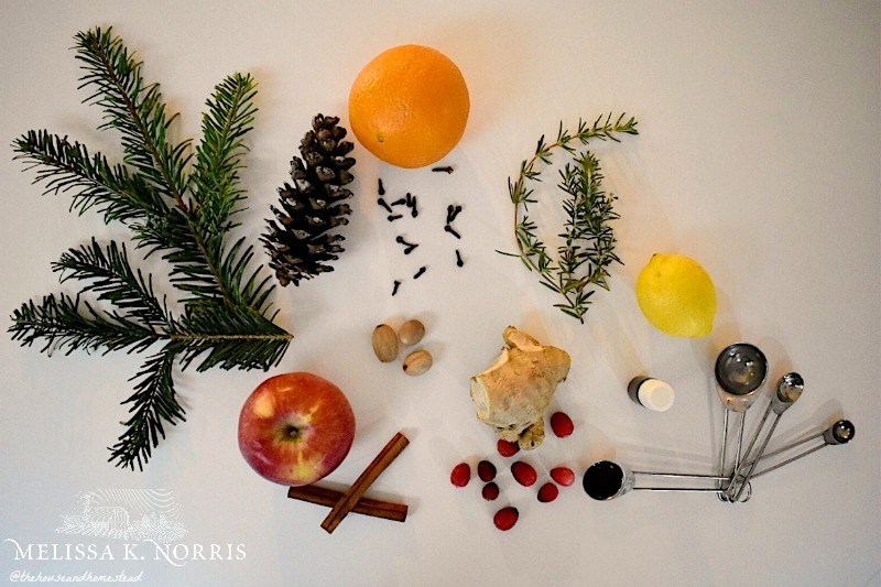 Christmas Stovetop Potpourri: Simmer Pot Recipe - A Pretty Life In The  Suburbs