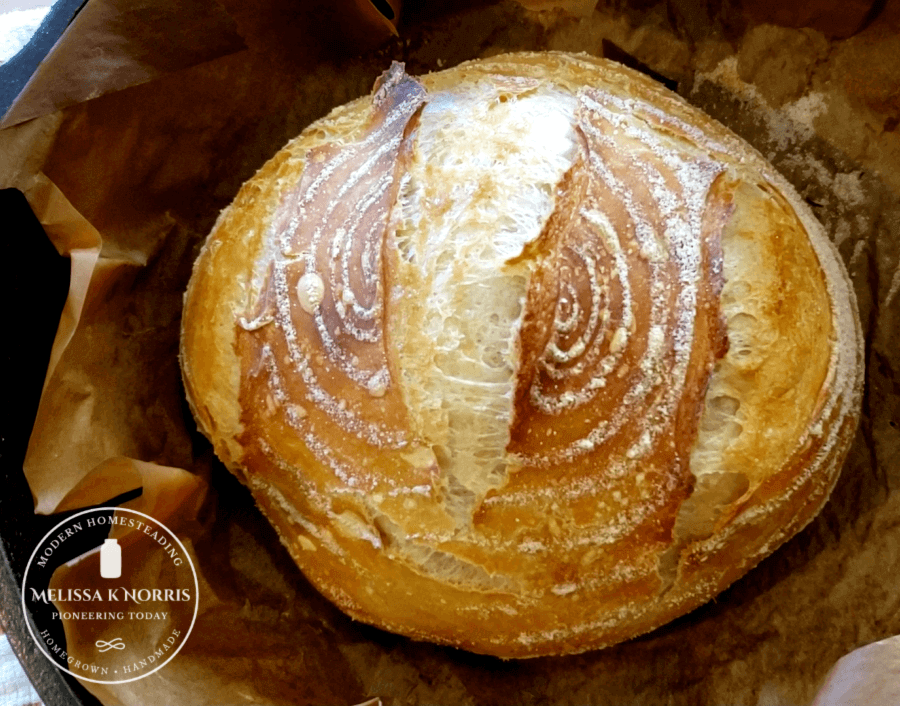 artisan bread on parchment paper