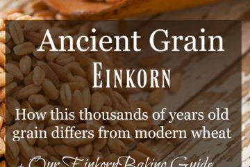 Image of einkorn grain on an old table with text overlay, "Ancient Grain Einkorn".