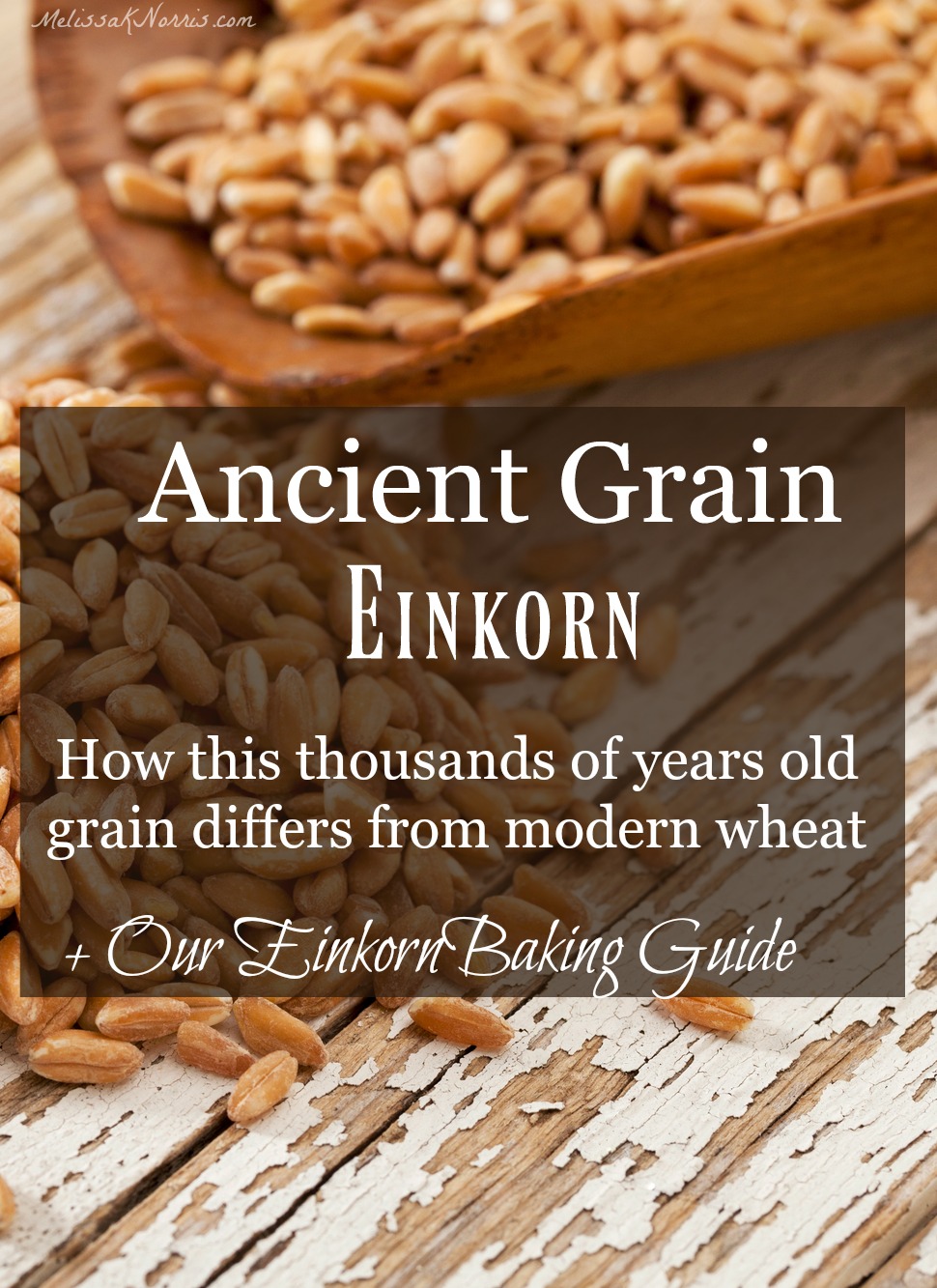 Image of einkorn grain on an old table with text overlay, "Ancient Grain Einkorn".