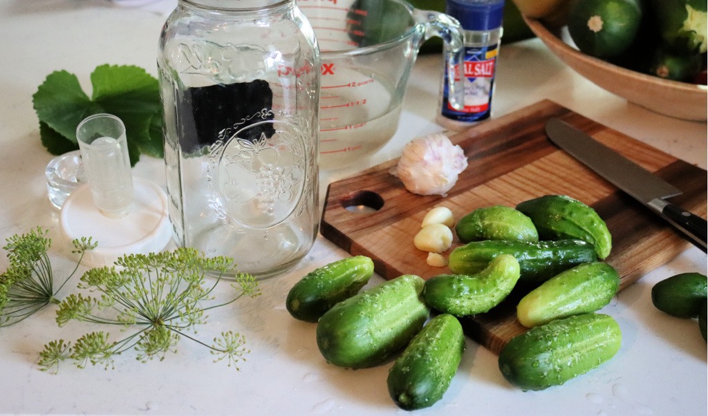 Ingredients and supplies to make fermented pickles sitting on the counter.