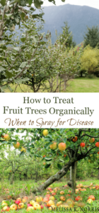 How to Treat Fruit Trees Organically: When to Spray for Disease ...