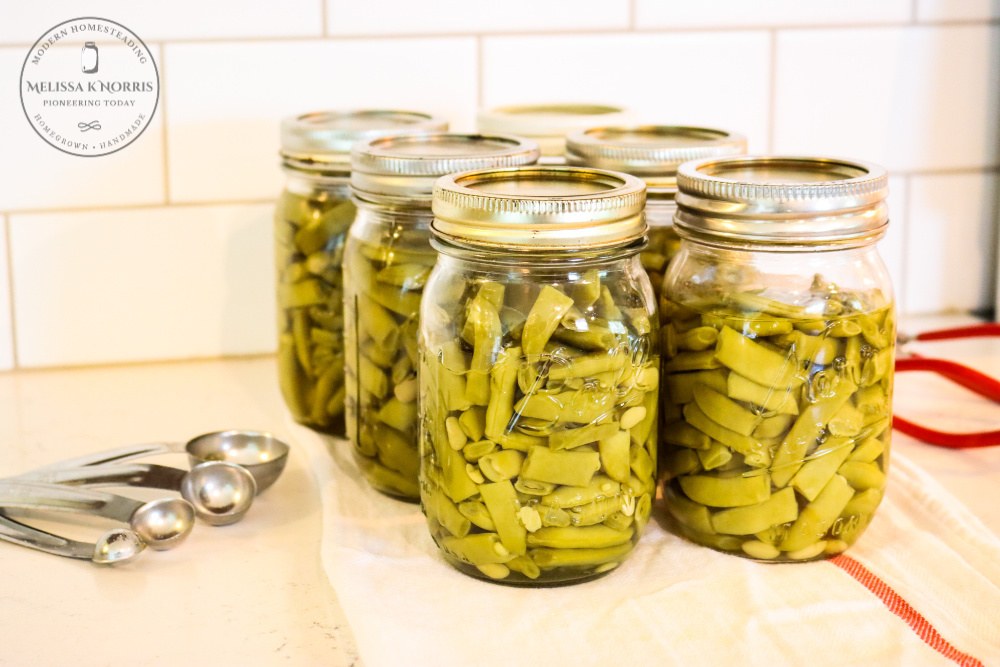 homecanned green beans in jar on counter