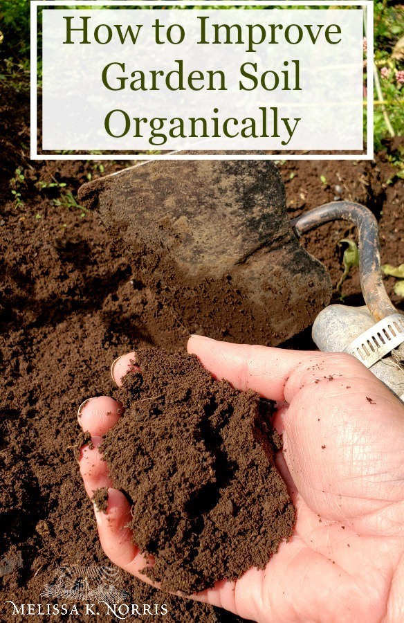 A handful of soil with text overlay, "How to Improve Garden Soil Organically".