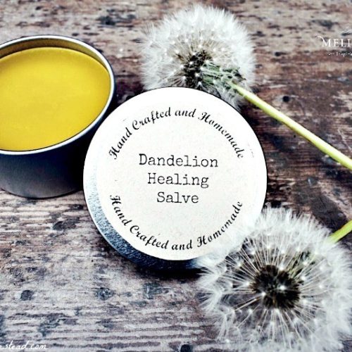 Dandelion Salve Recipe - DIY Healing Salve - Melissa K. Norris