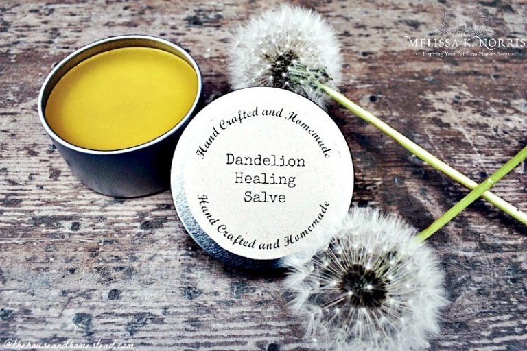 Dandelion Salve Recipe DIY Healing Salve Melissa K. Norris