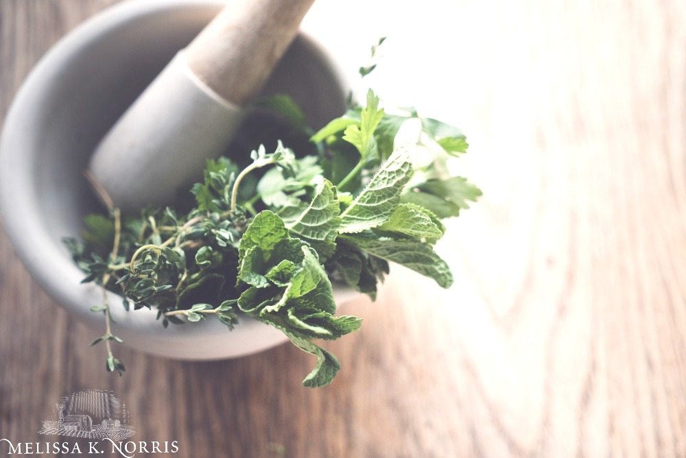 Mortar and pestle with fresh herbs and text overlay that says, "How I Healed My Stomach from Acid Reflux Naturally: & quit taking the prescription meds".