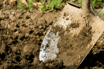 Close up image of a spade shovel digging into freshly cultivated soil. Text overlay says, "How to Test Soil Ph & Mistakes to Avoid".
