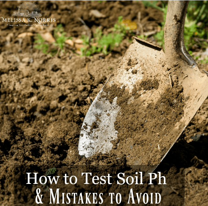 Close up image of a spade shovel digging into freshly cultivated soil. Text overlay says, "How to Test Soil Ph & Mistakes to Avoid".