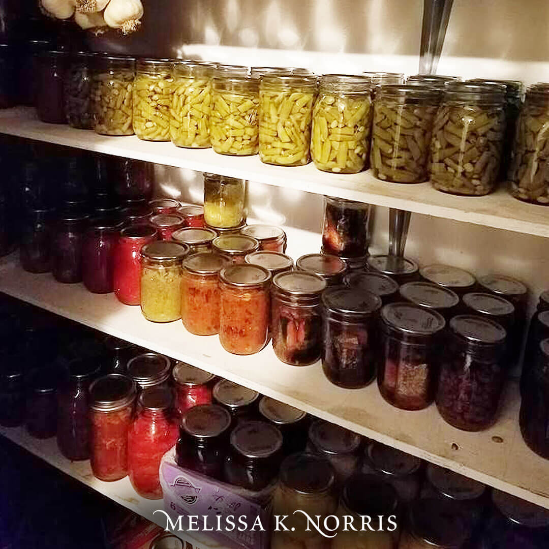 Pinterest pin with two images. Top image is of a weathered cedar shake homestead. Bottom image is of pantry shelves lined with Mason jars filled with colorful canned fruits and vegetables. Text overlay says "Off-Grid Living What You Need to Know Before Starting".
