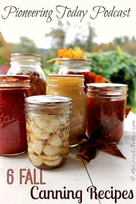 Pinterest pin contains an image of various glass canning jars filled with garlic, tomato sauce, salsa, and beans. Text overlay says "6 Fall Canning Recipes".
