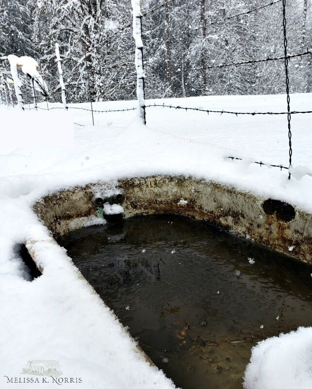 Snow covering a livestock tank.