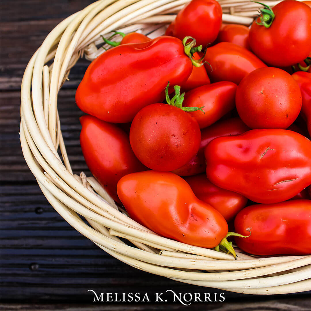 basket of ripe heirlom tomatoes