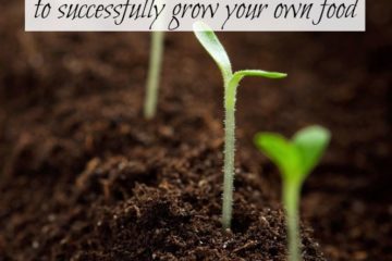 Close up image of a garden row with seed starts beginning to pop out of the soil. Text overlay says "The Ultimate Seed Starting Guide. Planning, Starting, and Mistakes to Avoid to Grow Your Own Food".